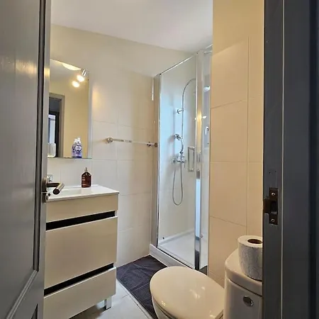 Croix-baragnon T3 - Centre-ville Historique - Parking Toulouse